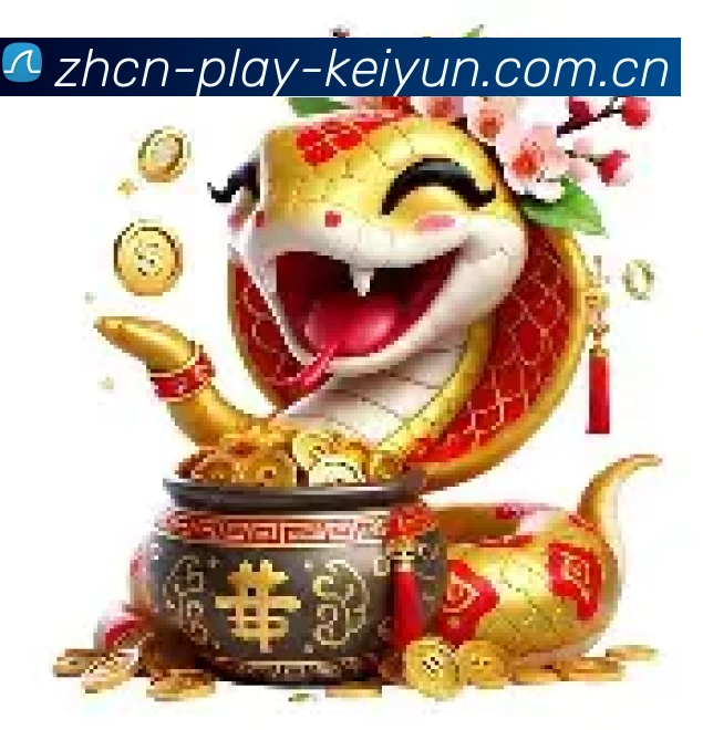 奖项证书